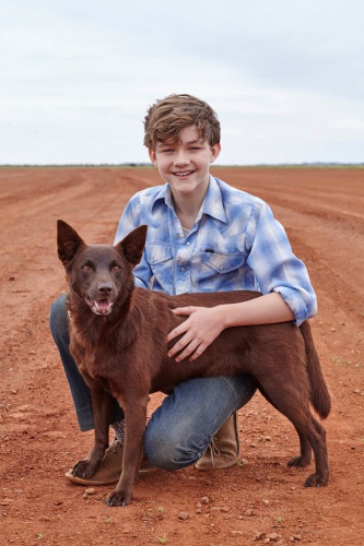 Леви Миллер